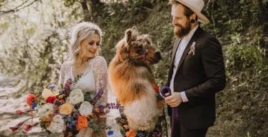 the couple posing with the llama and all their floral