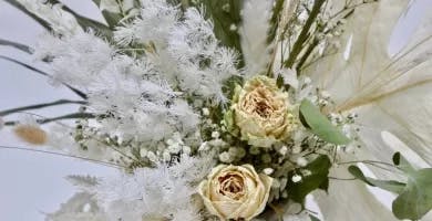 a close up on dried flowers 